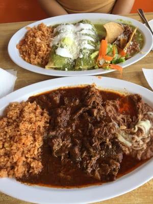 Birria & enchiladas