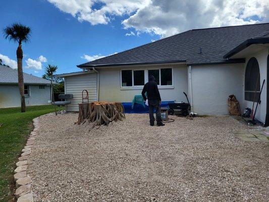 Javier martinez tree service