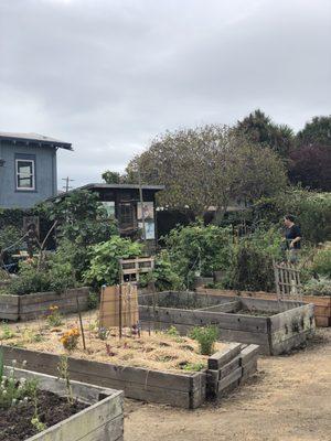 Peralta Community Garden