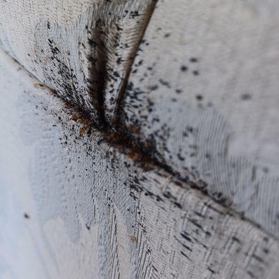 Enviro-Tech Bed Bug Exterminator