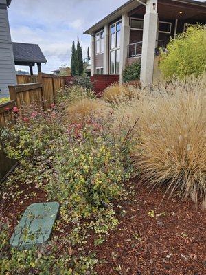 The client requested my assistance in cleaning and organizing their property.