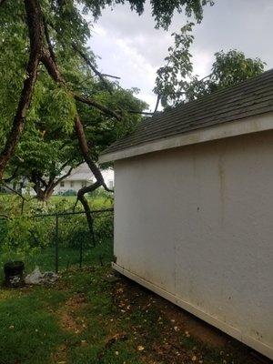 Rock Solid Tree Service And More