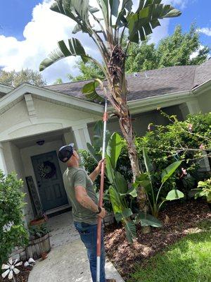 Miller Lawncare and Landscaping