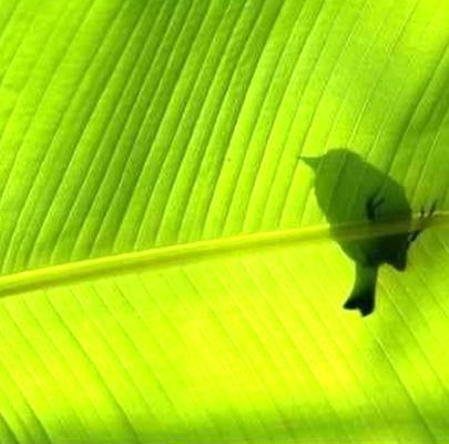 Clay Place-Norwalk Arts & Crafts