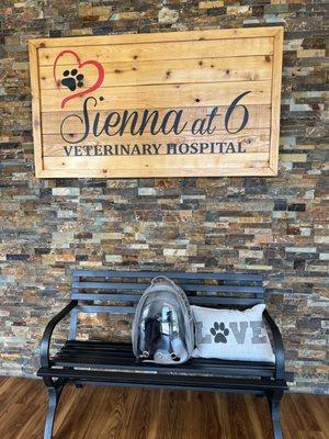 Sienna at 6 Veterinary Hospital