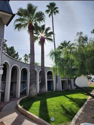 Scottsdale Fifth Avenue Apartments