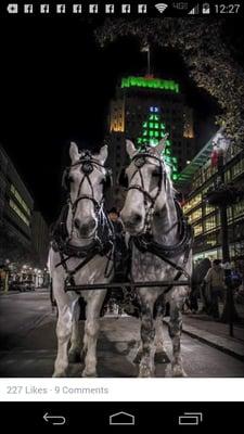 American Computer Specialists