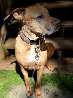 TLC Veterinary Clinic