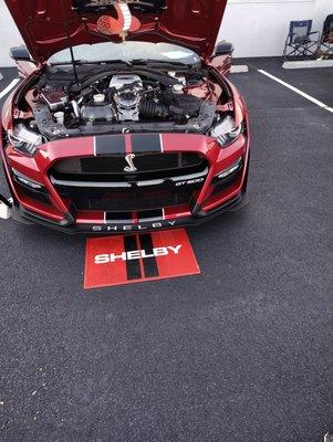 Faith Ann Michelle Tow & Recovery