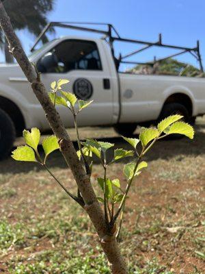 A & S Property Services