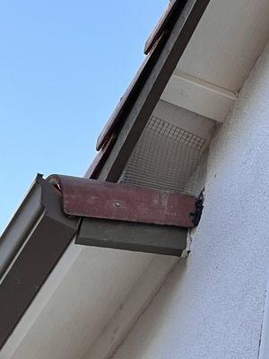 Ruffled Feathers Bird Control