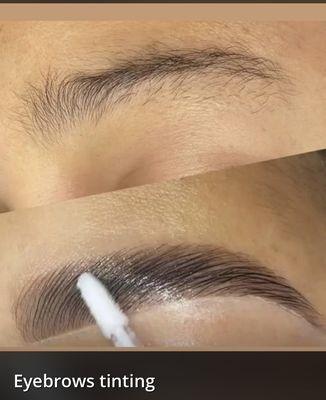 Eyebrows tinting