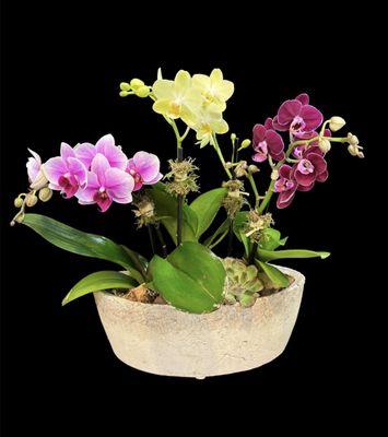 Joyce Florist
