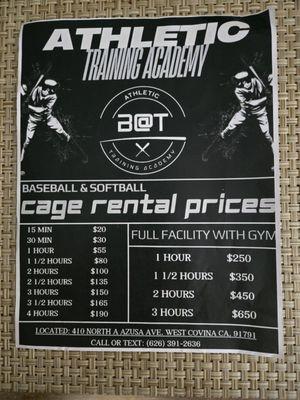 Team or Individual rental rates