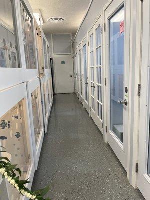 Lucky Paws Cat Resort