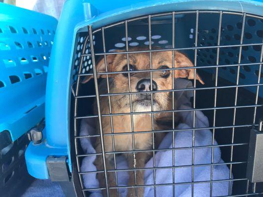 Humane Society Thrift Shop