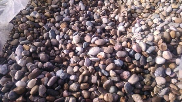 I love this mix but wish they were smaller.