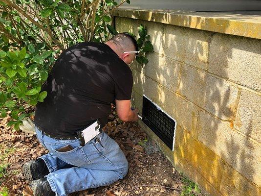 Diamondback Wildlife Removal