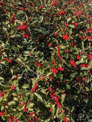 Farnham-Connolly State Park