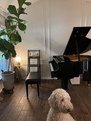 RC Piano Studio