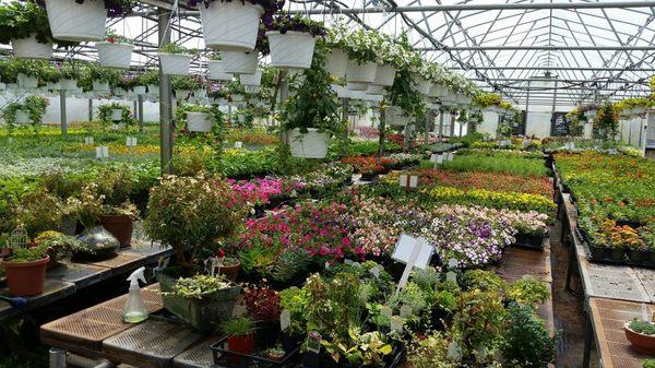 Lakeside Greenhouses