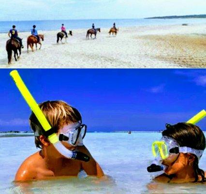 Snorkeling in St Joe Bay and Horseback Riding on Cape San Blas
