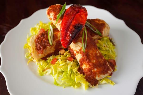 Gluten free one of a kind Chicken Enchilada