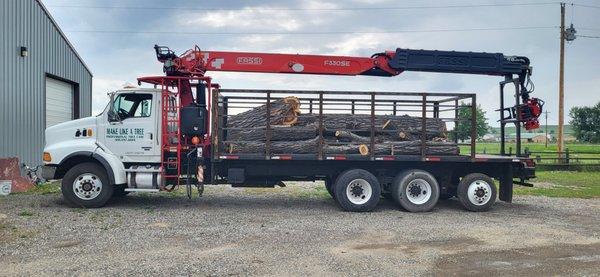 Make Like A Tree - Professional Tree Care