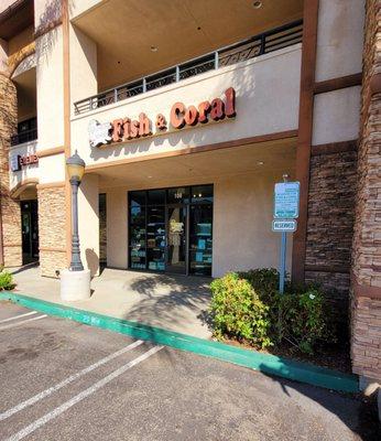 Tropical Reef Fish Store