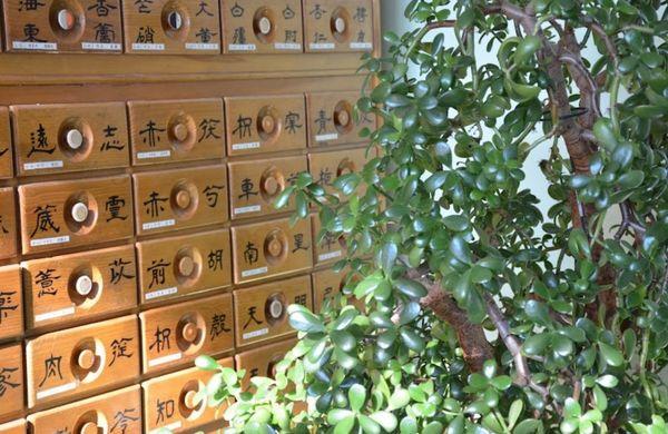 Acuharmony Acupuncture Chinese Herbal Medicine