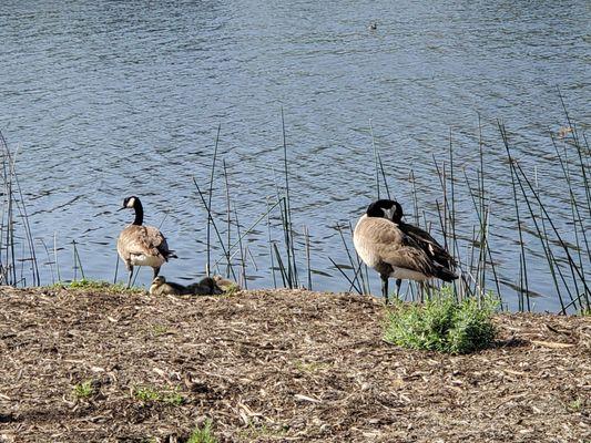 Andrée Clark Bird Refuge