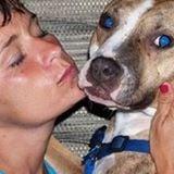 Don't Bully My Breed