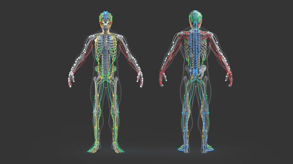 New Life CNT Massage