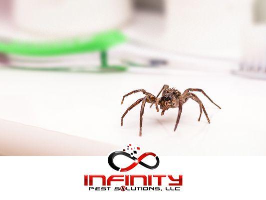 Infinity Pest Solutions