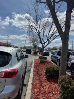 Landis Landscape & Maintenance