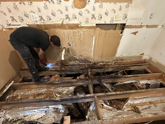 David H Construction