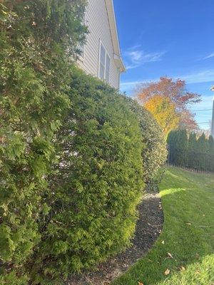 Kings Lawn Service & Pavers