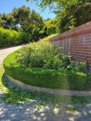 N & S Landscaping Maintenance