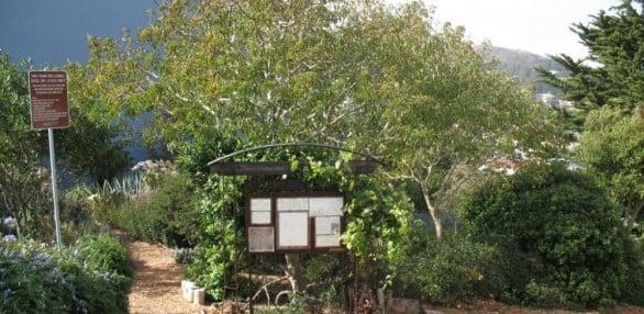 Entrance to the garden. Community garden that people can plant stuff for their own use.