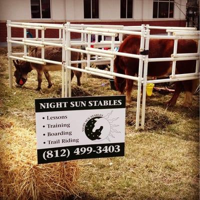 Night Sun Stables