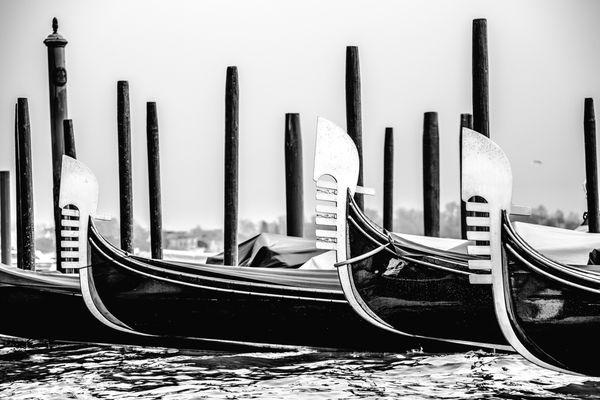 Emblem of Venice - Venice, Italy