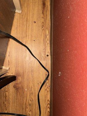 Bugs just outside bugs. and dust behind the nightstand