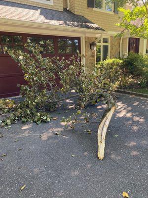 Hefferin Tree Service