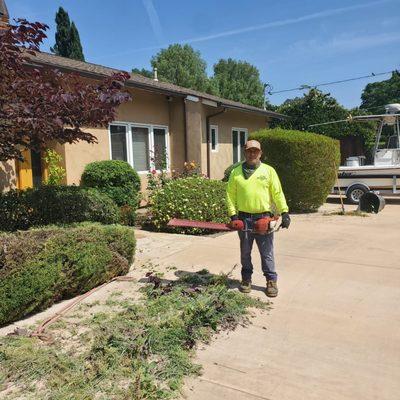 Ez Land and Tree Care