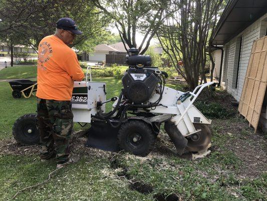 Burris Tree Service