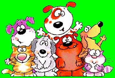 Circle of Friends Pet Sitters