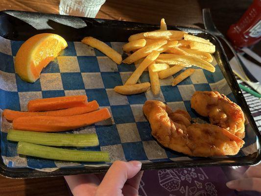 Kids Chicken Tenders