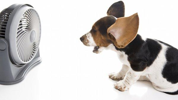 Williams A/C & Heating