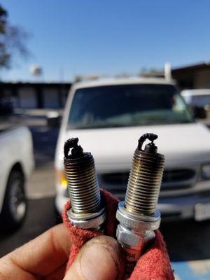 True Tech Automotive