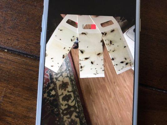 A problem with unwanted friends every month because building owner refuses to do something with hoarding tenants.